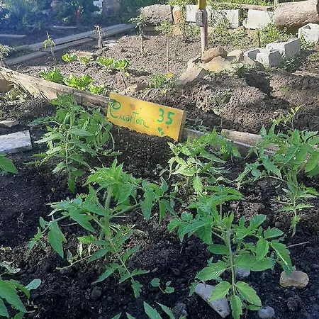 Апартаменты El Cuarton 